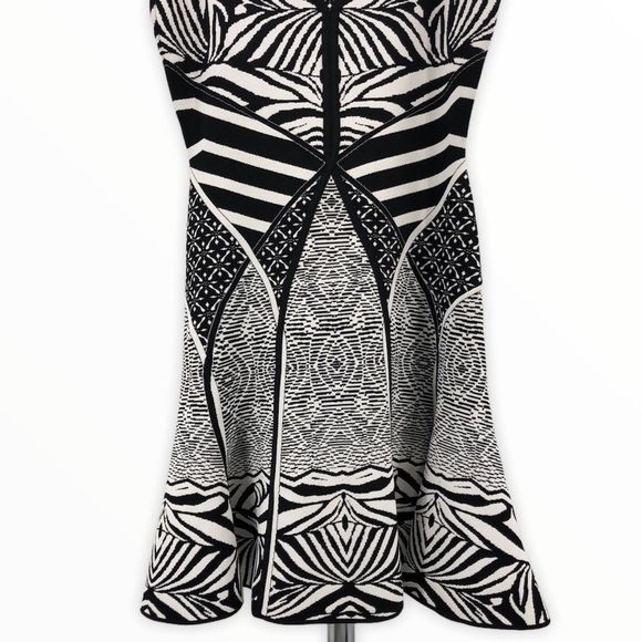 Diane Von Furstenberg Fanny Zebra Knit Dress - Picture 8 of 16